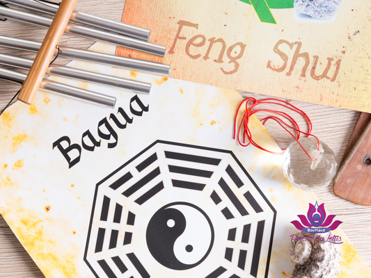 LES GRANDS PRINCIPES DU FENG SHUI