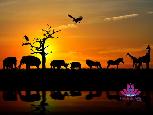 DÉCOUVRIR LE MONDE DES ANIMAUX TOTEM