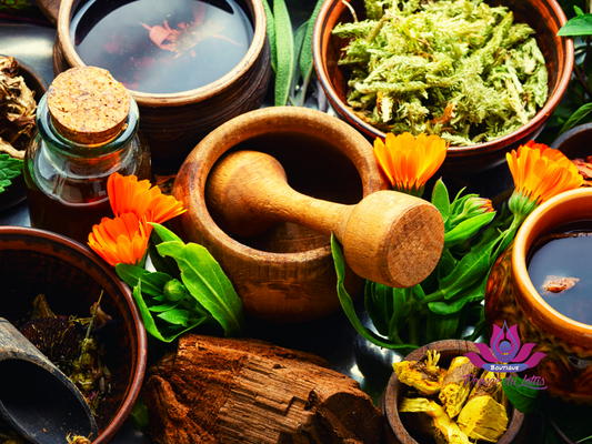 LE POUVOIR MYSTIQUE DES PLANTES : DÉCOUVREZ LEUR ÉNERGIE SPIRITUELLE