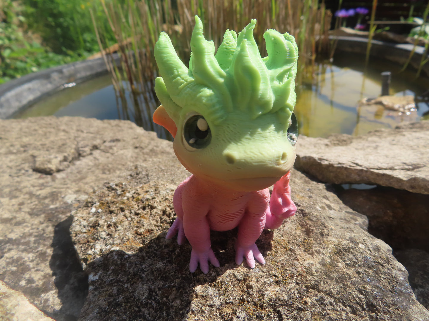 DRAGON