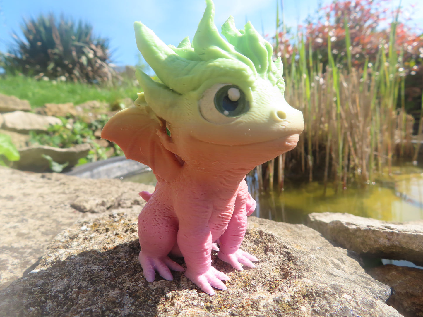 DRAGON