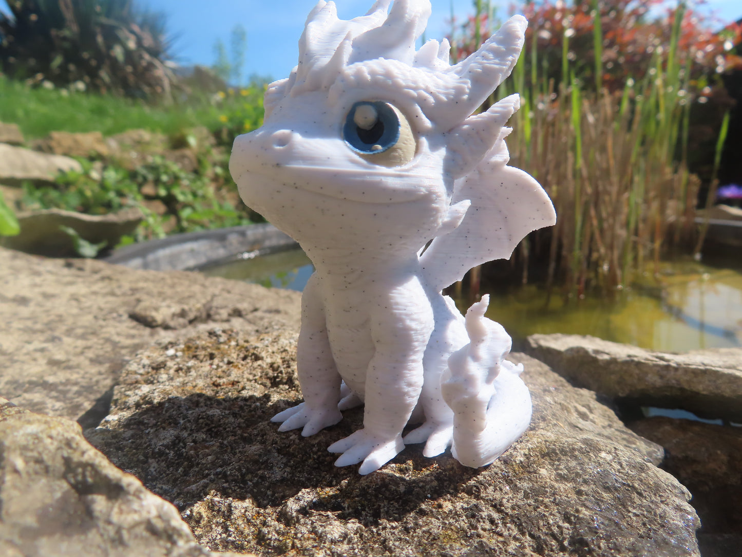 DRAGON
