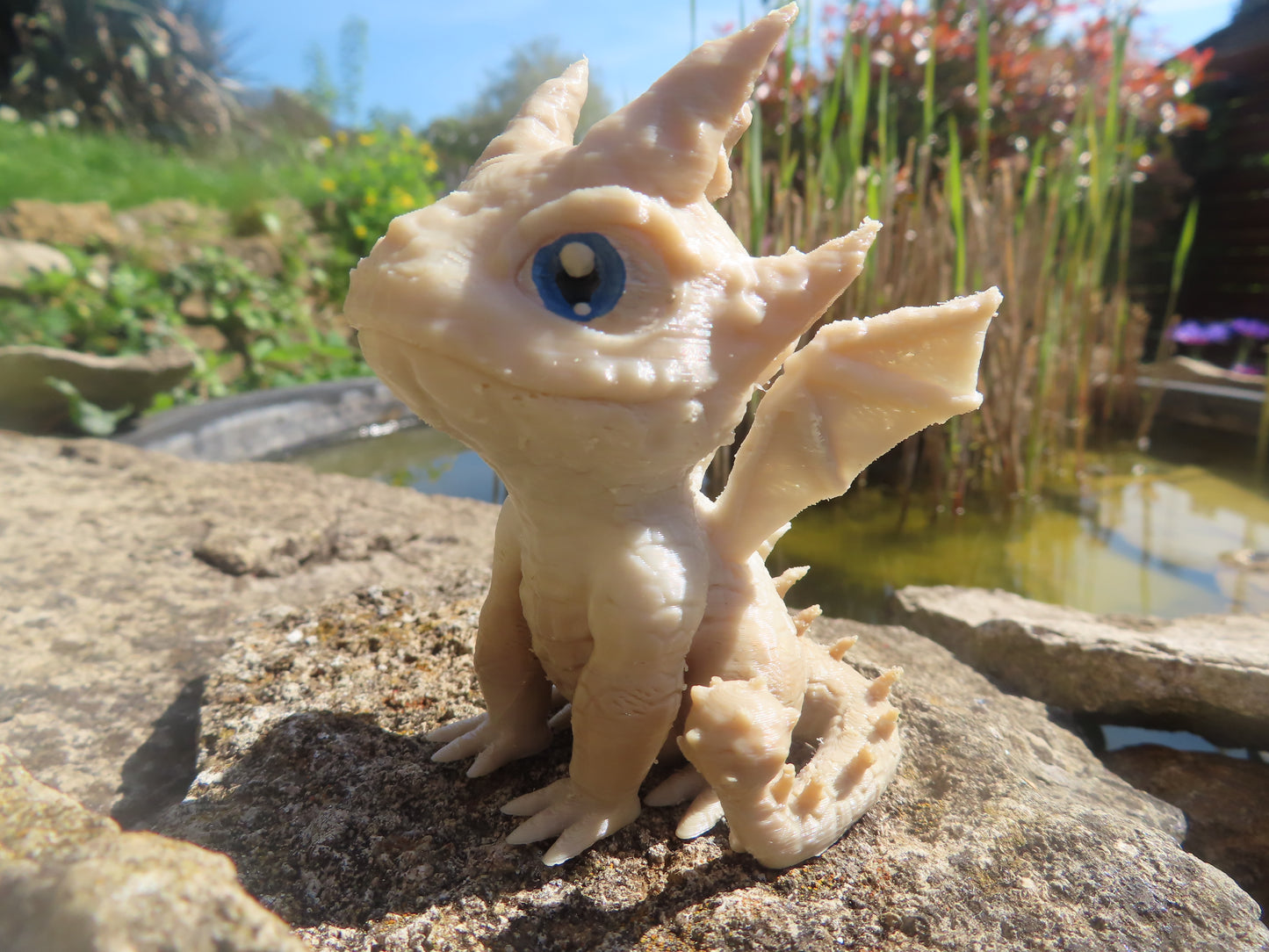 DRAGON