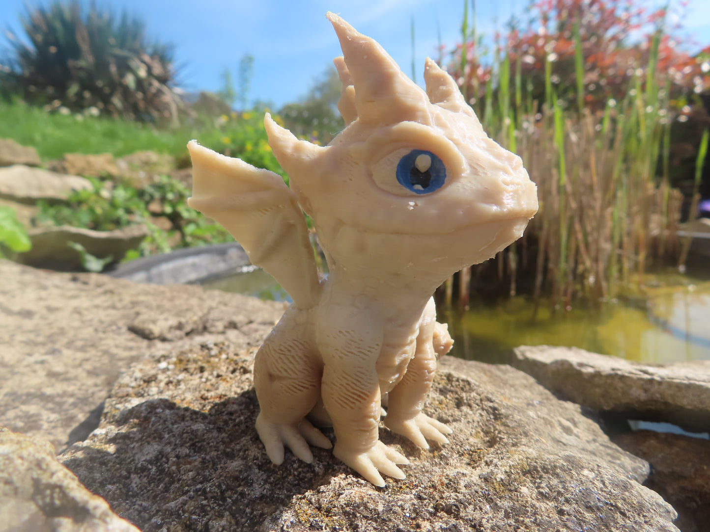 DRAGON