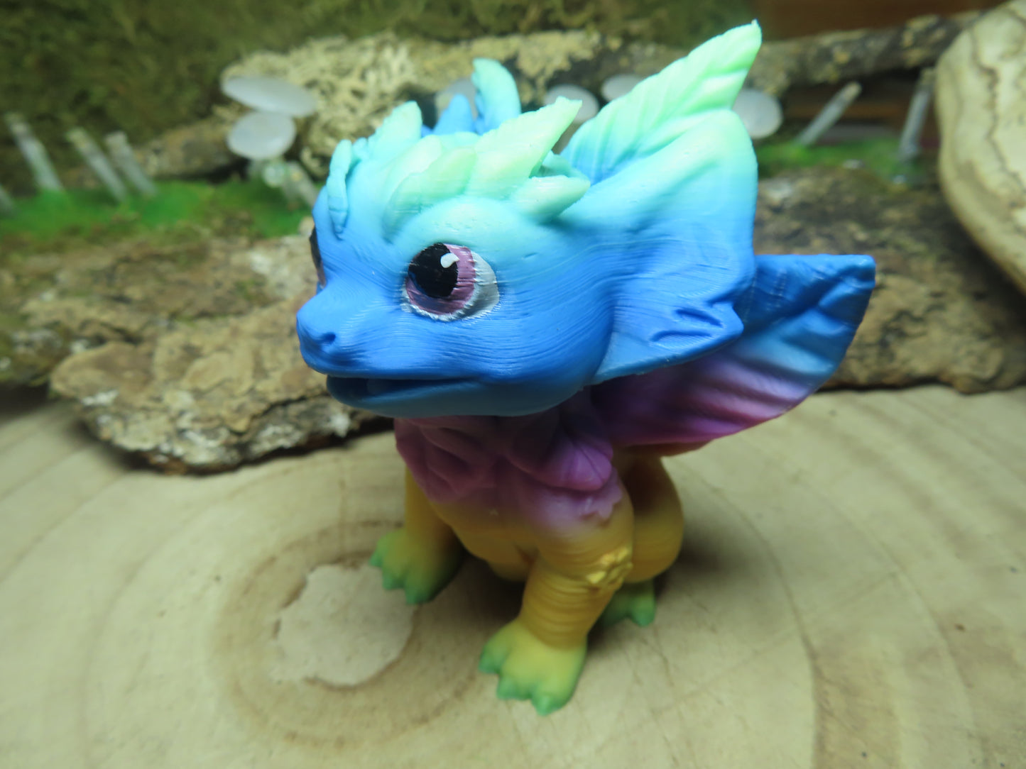 DRAGON
