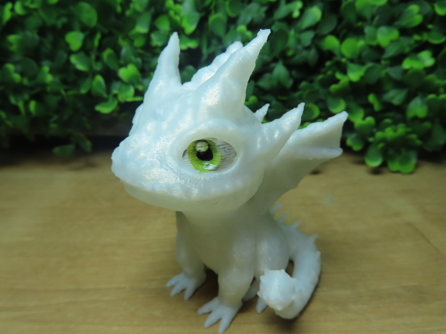 DRAGON