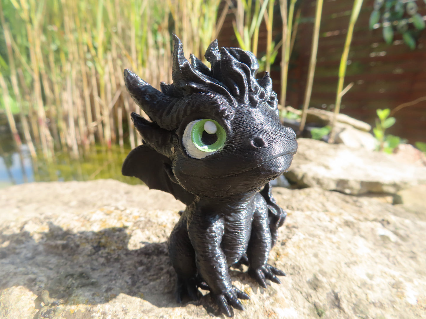 DRAGON