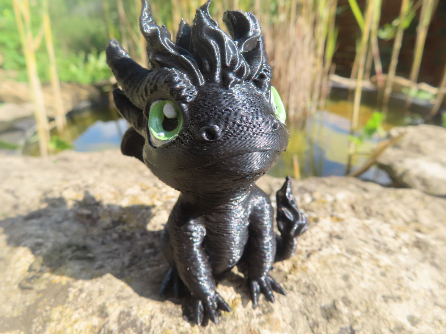 DRAGON