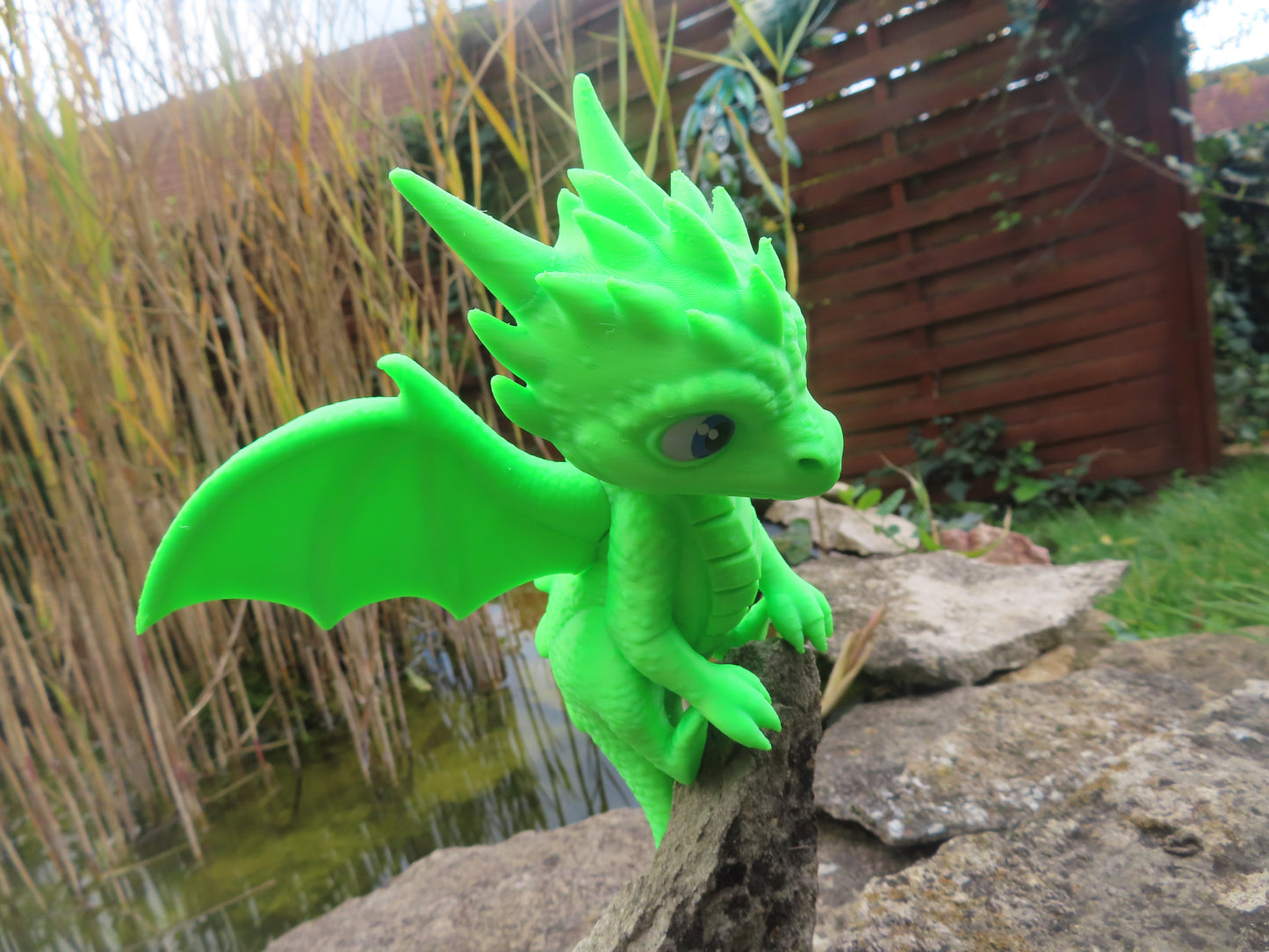 🐉 Samy, le petit dragon gardien des enfants