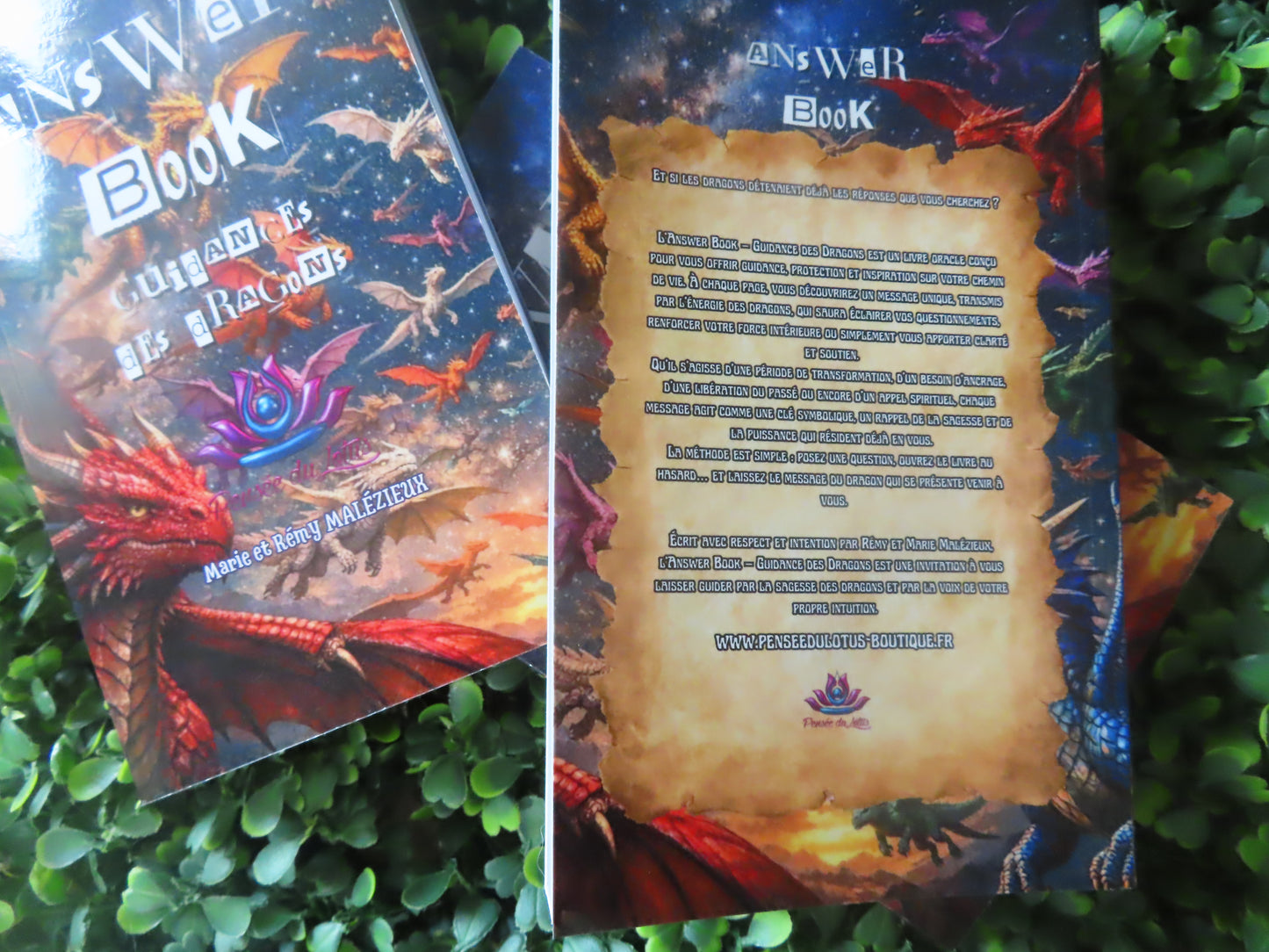 ANSWER BOOK Guidance des dragons