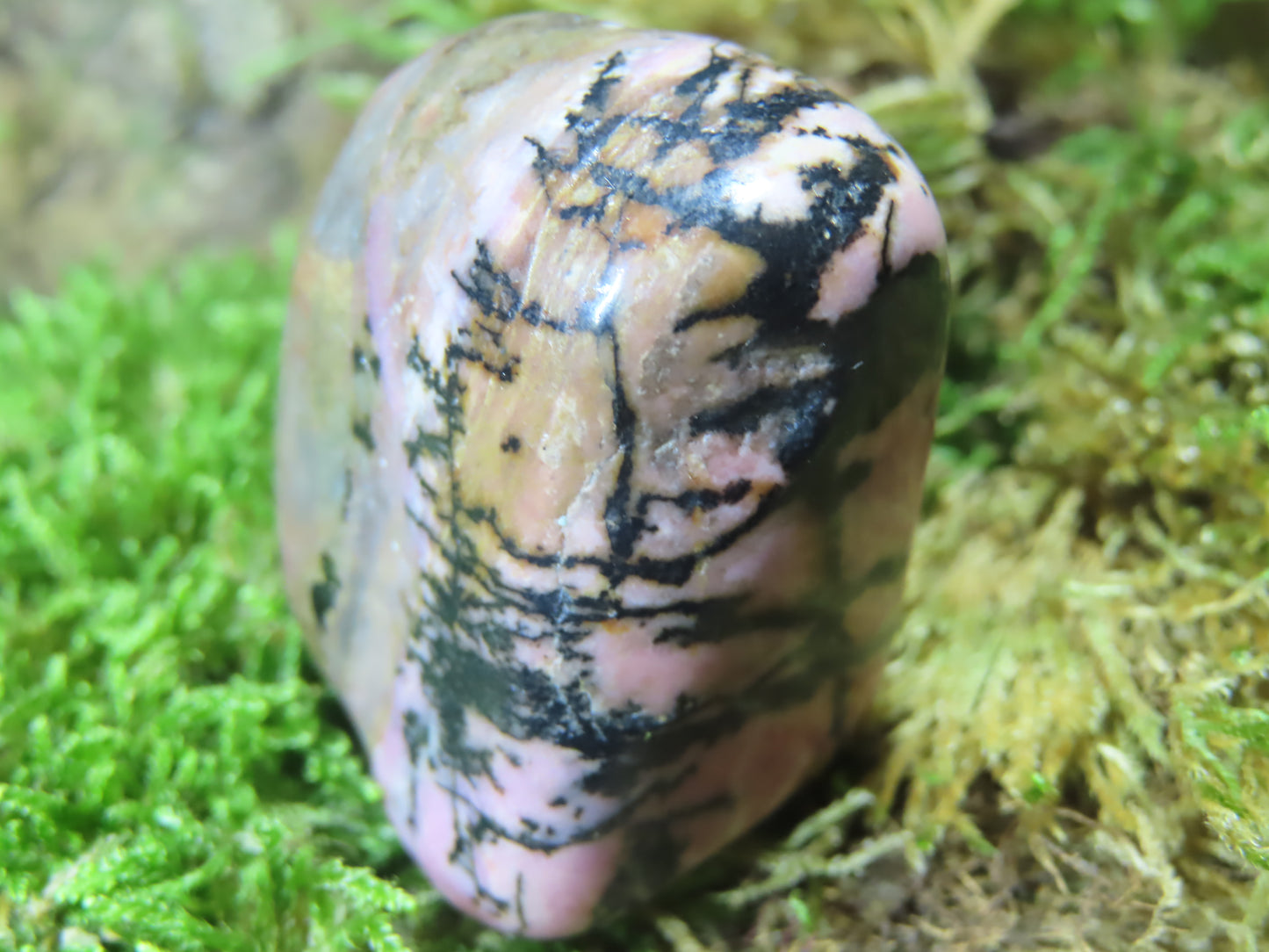 RHODONITE