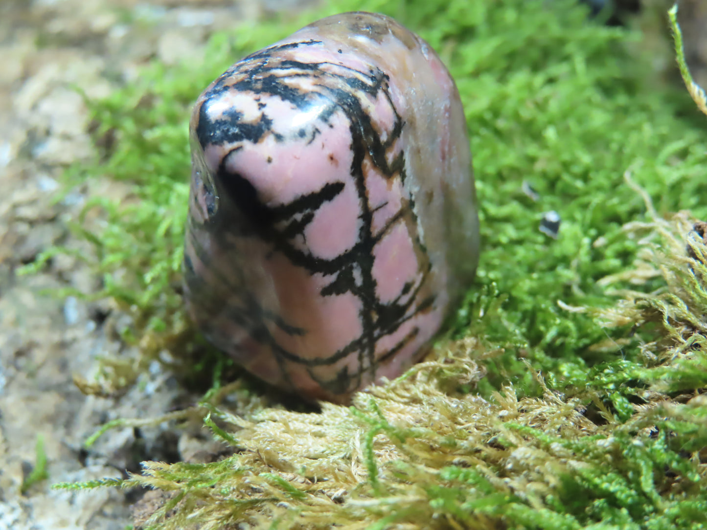 RHODONITE