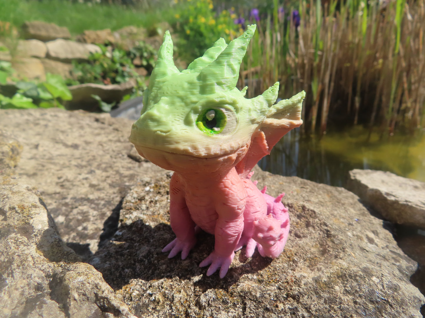DRAGON