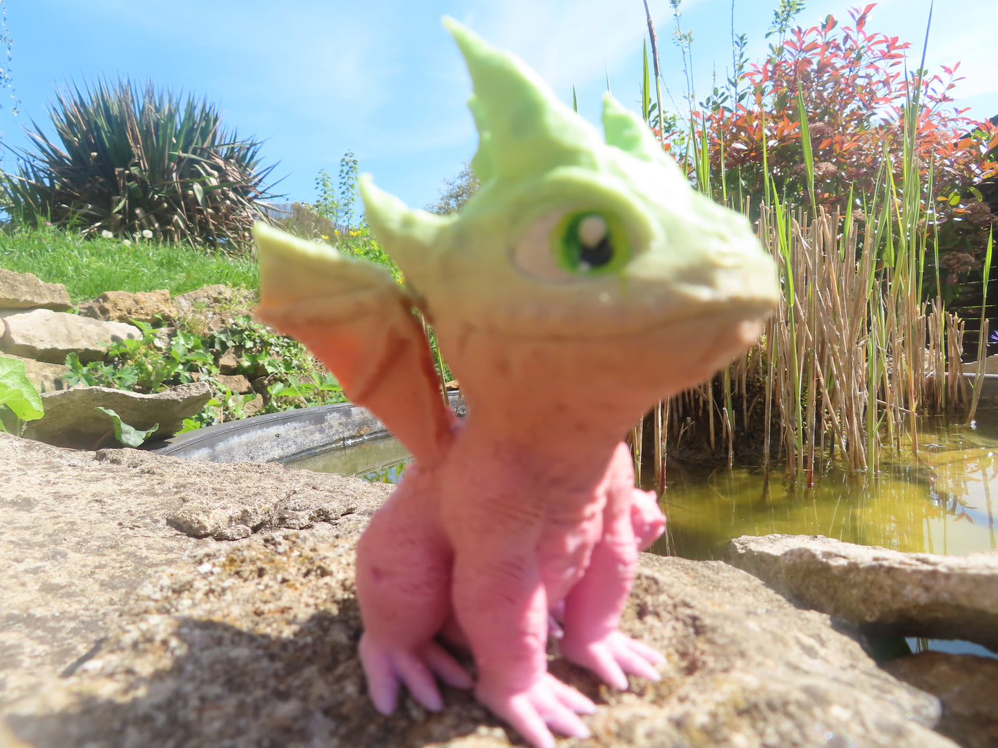 DRAGON