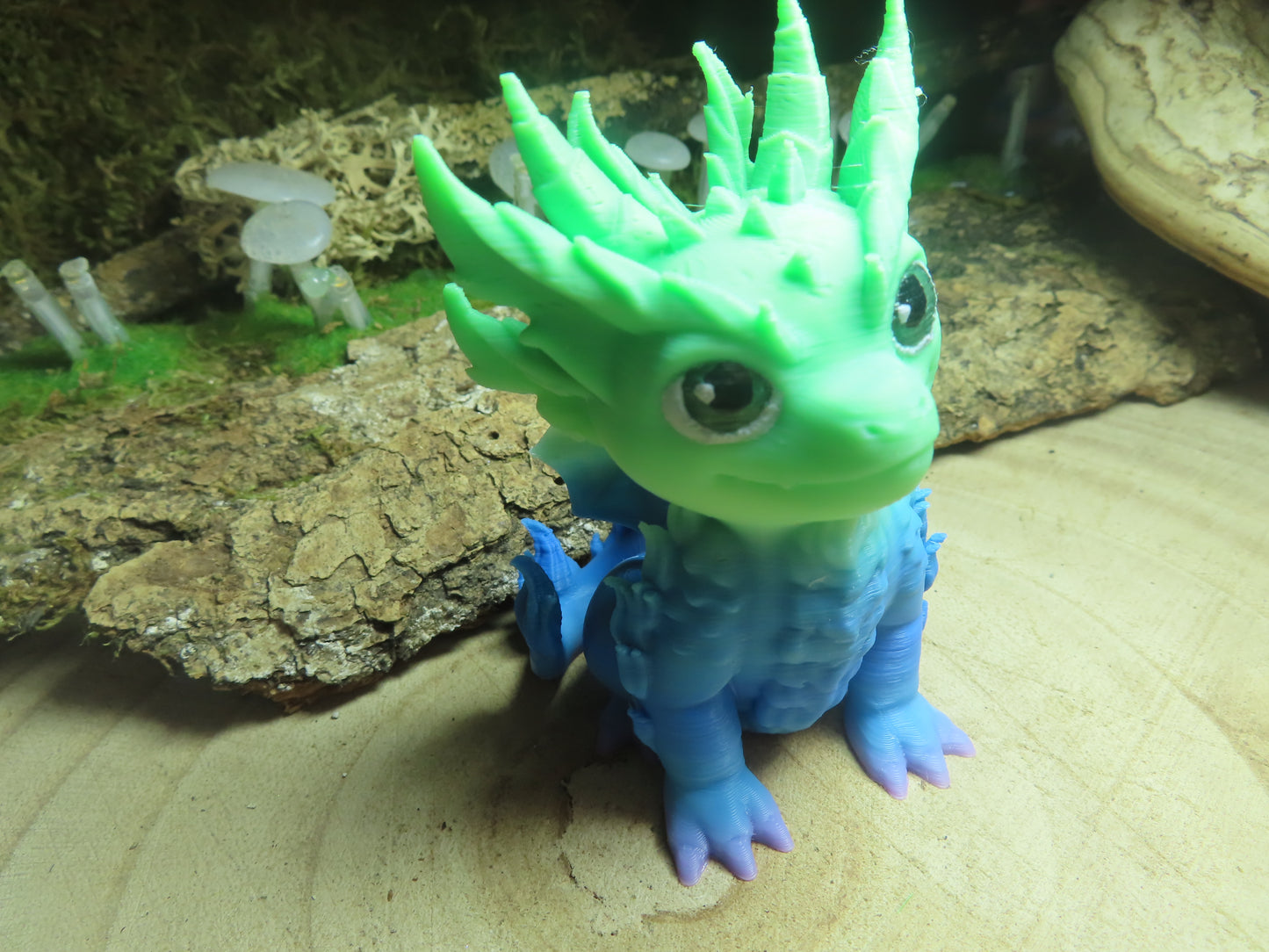 DRAGON