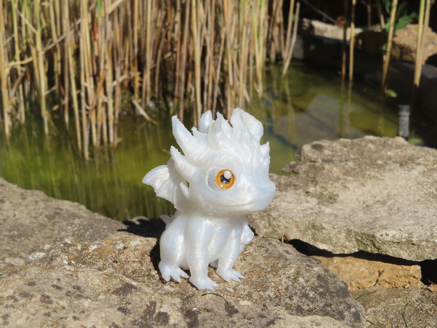 DRAGON