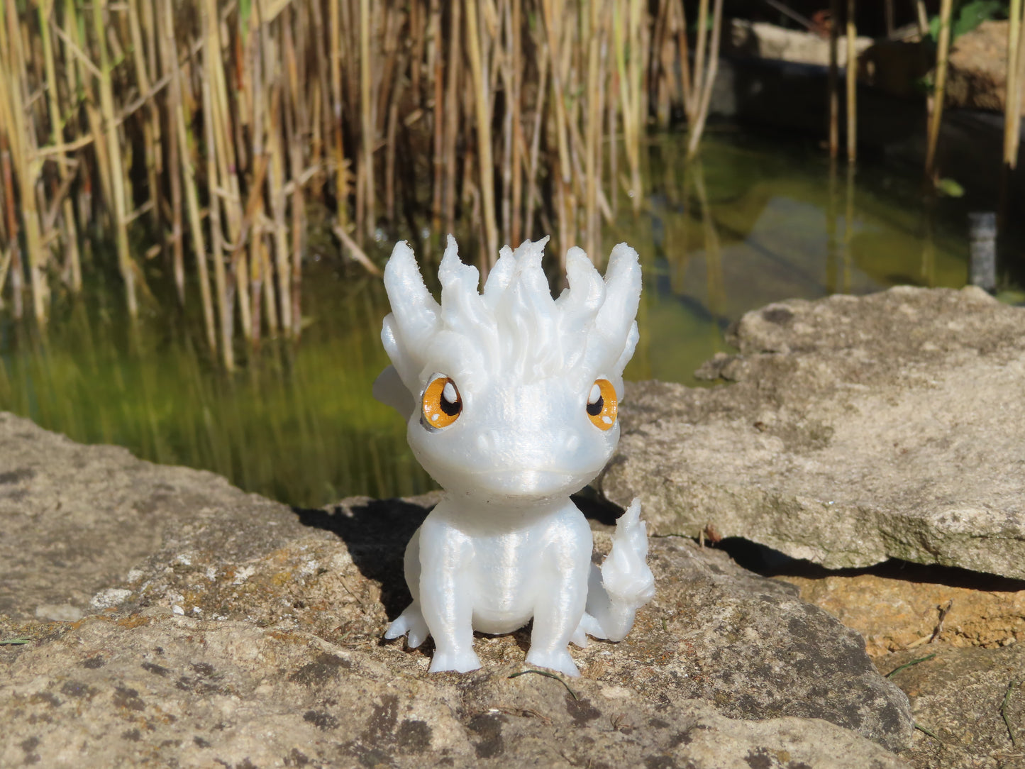 DRAGON