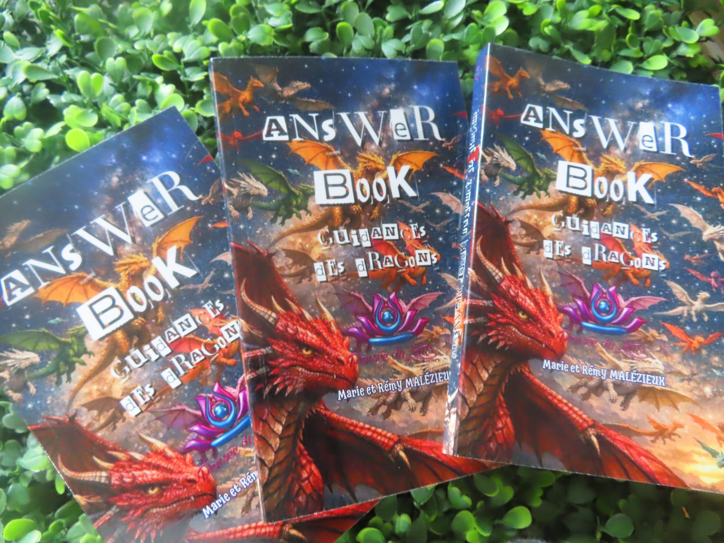ANSWER BOOK Guidance des dragons