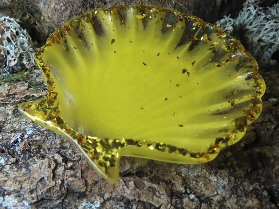COQUILLE DE RECHARGEMENT